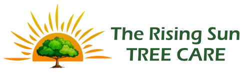 The Rising Sun Tree Care